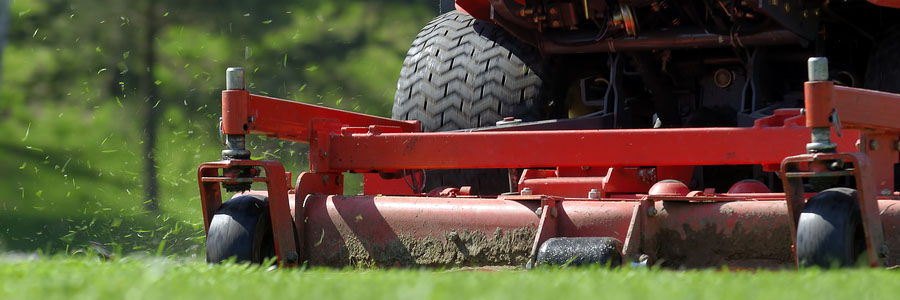 Professional lawn care team maintaining a lush green yard in Greater Binghamton NY